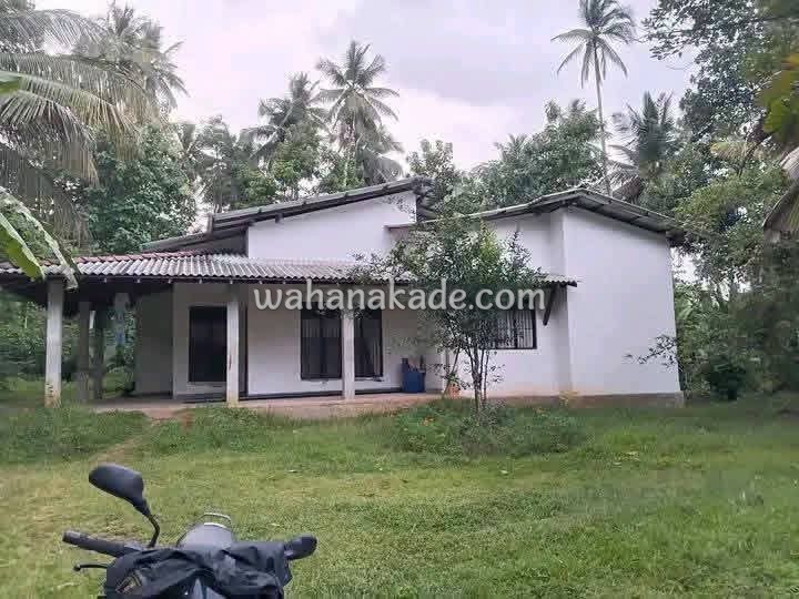 Land & House For Sale
