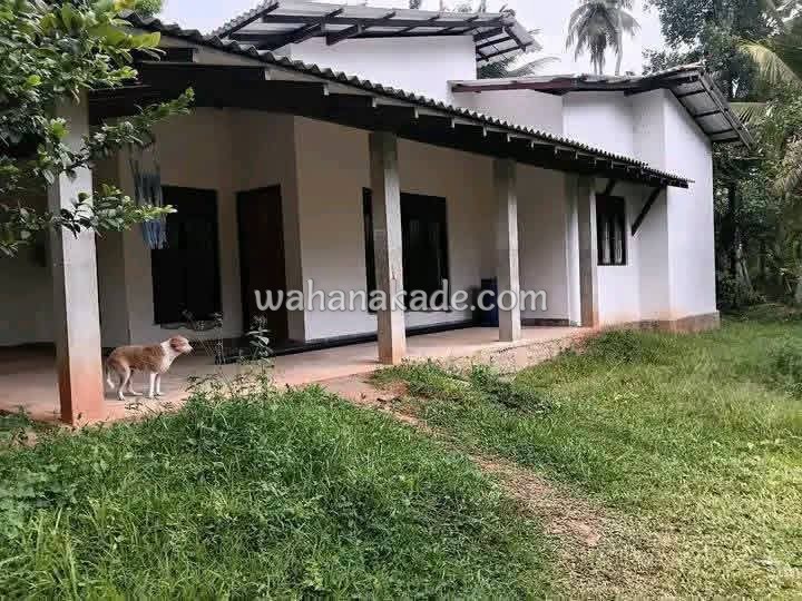 Land & House For Sale - Image 2